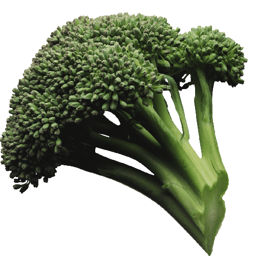broccoli1